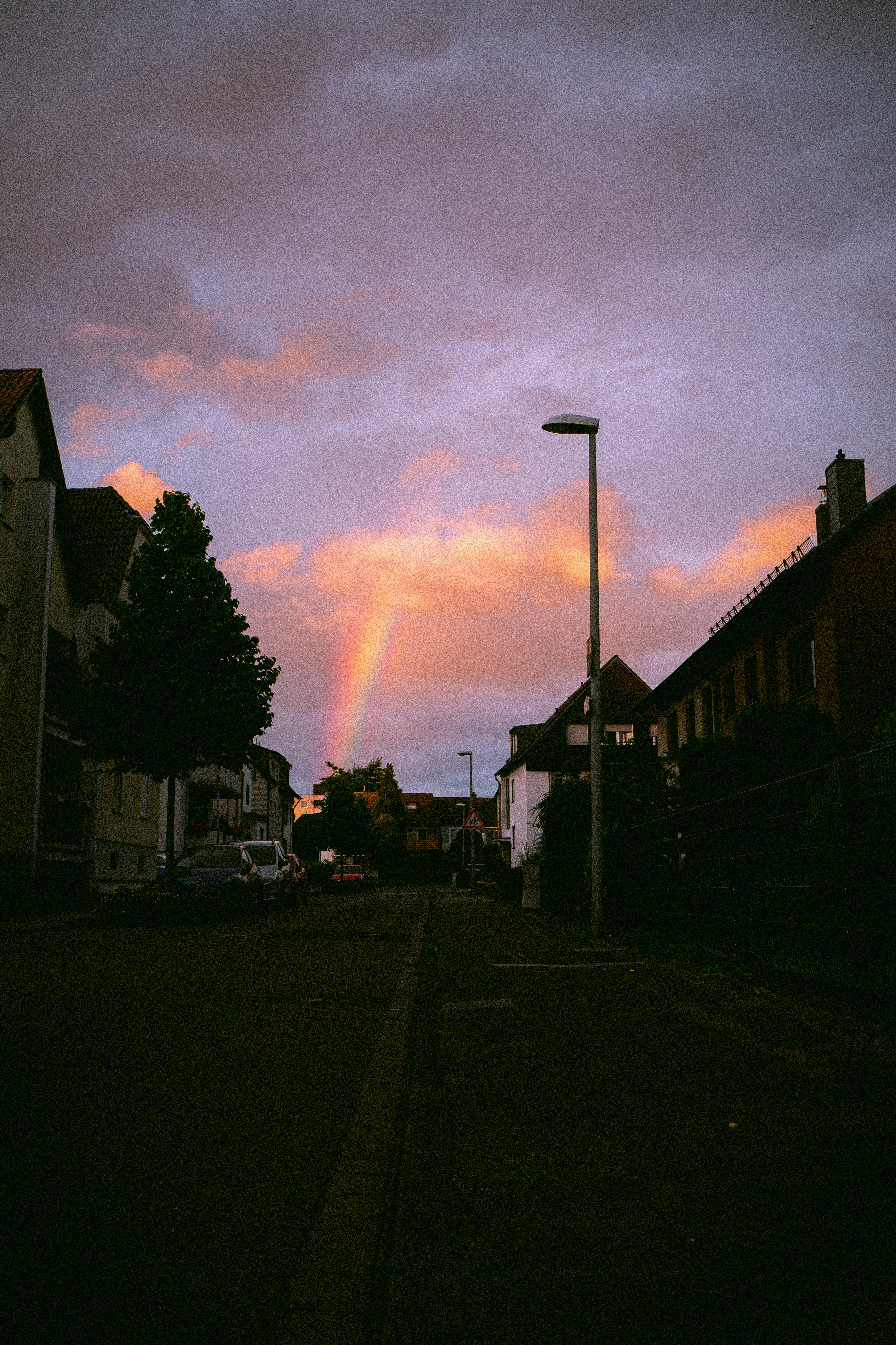 silhouette of trees and houses under cloudy sky during daytime